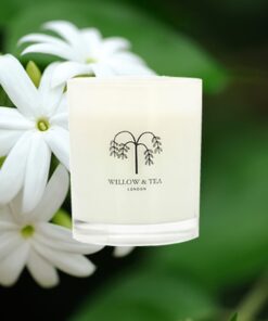 Jasmine and Magnolia Home Candle