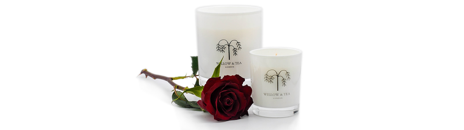 Which Scent Are You?